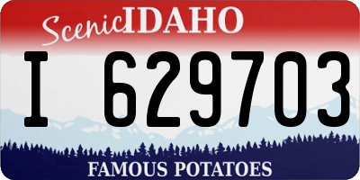 ID license plate I629703