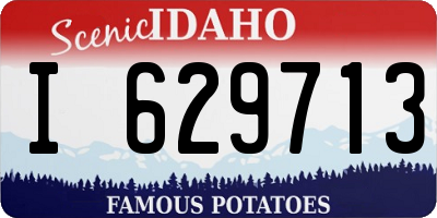 ID license plate I629713