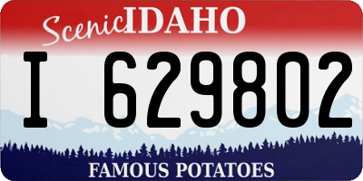 ID license plate I629802