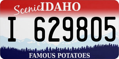 ID license plate I629805