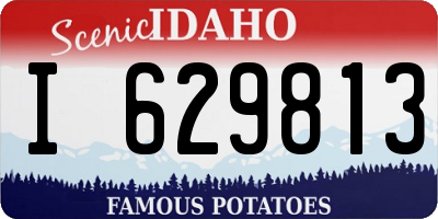 ID license plate I629813