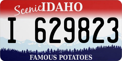 ID license plate I629823