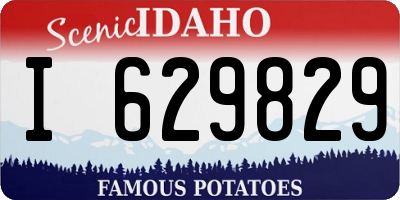 ID license plate I629829