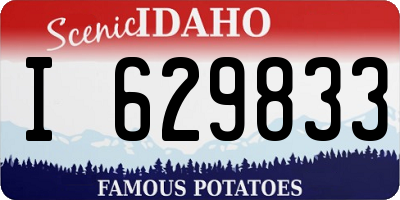 ID license plate I629833