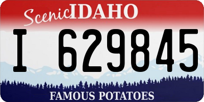 ID license plate I629845