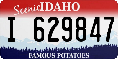 ID license plate I629847