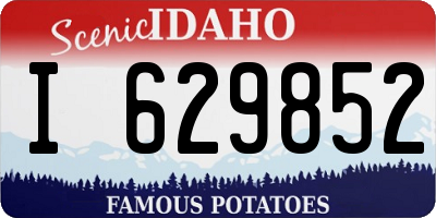 ID license plate I629852