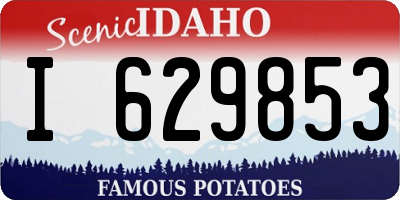 ID license plate I629853
