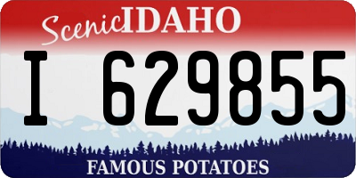 ID license plate I629855