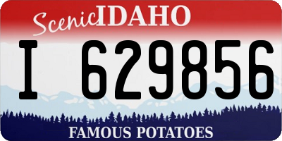 ID license plate I629856
