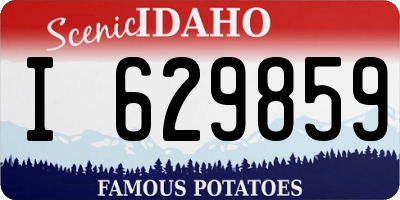 ID license plate I629859