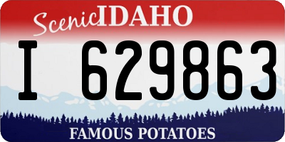 ID license plate I629863