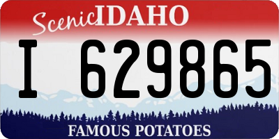 ID license plate I629865