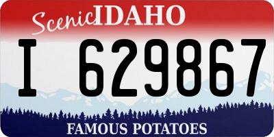 ID license plate I629867