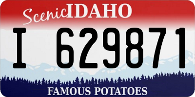 ID license plate I629871