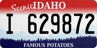 ID license plate I629872