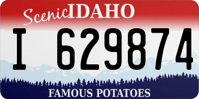 ID license plate I629874