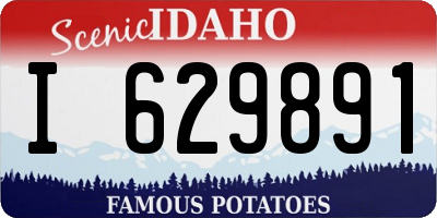 ID license plate I629891
