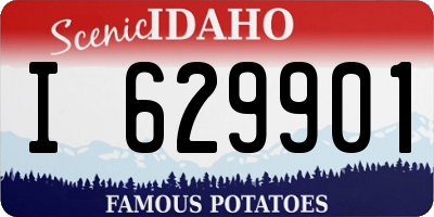 ID license plate I629901