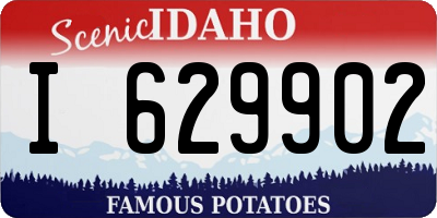 ID license plate I629902