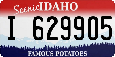 ID license plate I629905