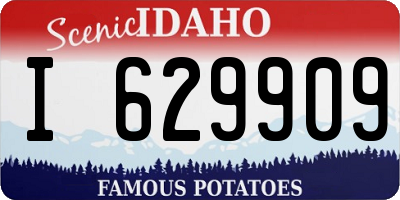 ID license plate I629909