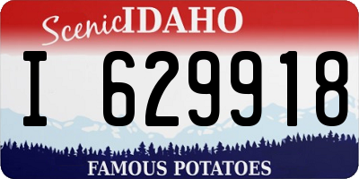 ID license plate I629918