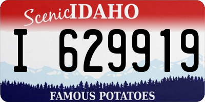 ID license plate I629919