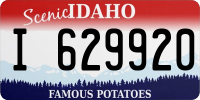 ID license plate I629920