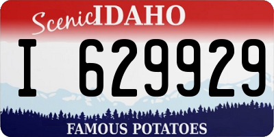 ID license plate I629929