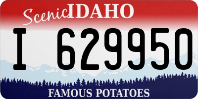 ID license plate I629950