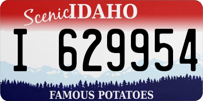 ID license plate I629954