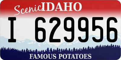 ID license plate I629956