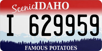 ID license plate I629959