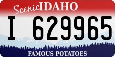 ID license plate I629965