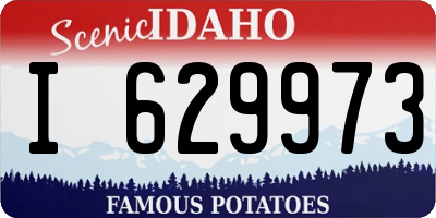 ID license plate I629973