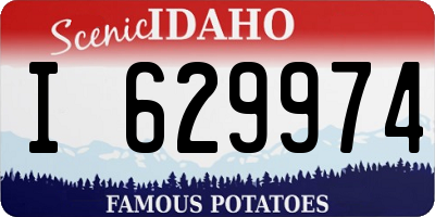 ID license plate I629974