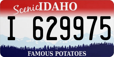ID license plate I629975