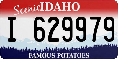 ID license plate I629979