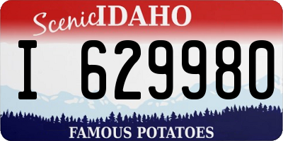 ID license plate I629980