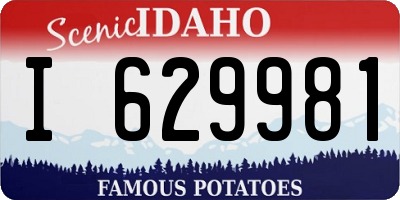 ID license plate I629981