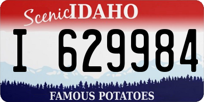 ID license plate I629984