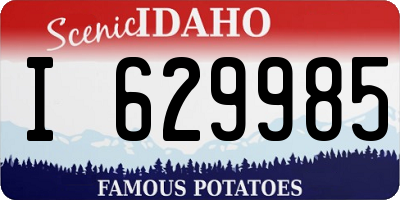 ID license plate I629985