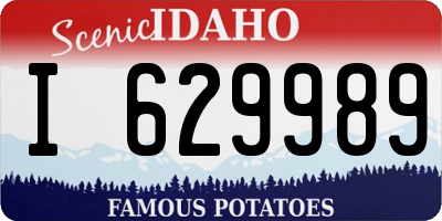 ID license plate I629989