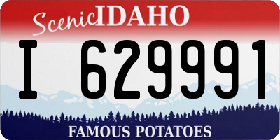 ID license plate I629991