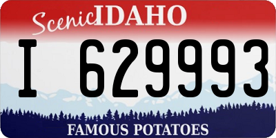 ID license plate I629993
