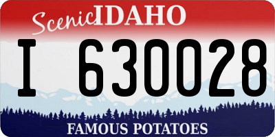 ID license plate I630028