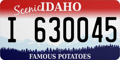 ID license plate I630045