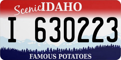 ID license plate I630223