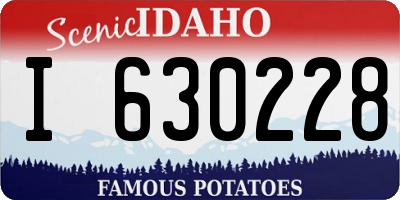 ID license plate I630228
